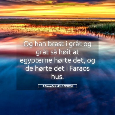 Picture 05 - 1 Mosebok 45:2 NORSK - Og han brast i gråt og gråt så høit at - Bible Verse Picture