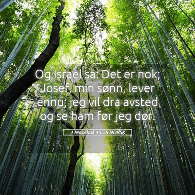 Picture 05 - 1 Mosebok 45:28 NORSK - Og Israel sa: Det er nok; Josef, min sønn, lever - Bible Verse Picture