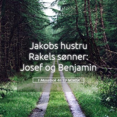 Picture 05 - 1 Mosebok 46:19 NORSK - Jakobs hustru Rakels sønner: Josef og - Bible Verse Picture
