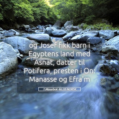 Picture 05 - 1 Mosebok 46:20 NORSK - og Josef fikk barn i Egyptens land med Asnat, - Bible Verse Picture