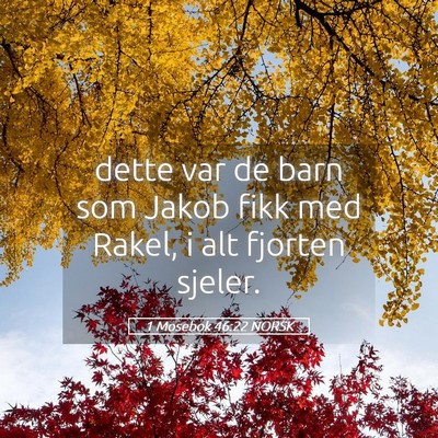 Picture 05 - 1 Mosebok 46:22 NORSK - dette var de barn som Jakob fikk med Rakel, i alt - Bible Verse Picture
