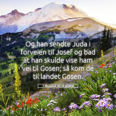 Picture 05 - 1 Mosebok 46:28 NORSK - Og han sendte Juda i forveien til Josef og bad at - Bible Verse Picture
