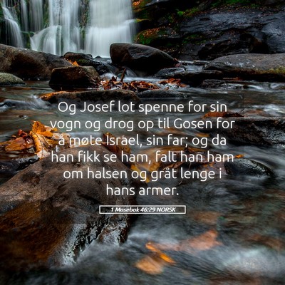 Picture 05 - 1 Mosebok 46:29 NORSK - Og Josef lot spenne for sin vogn og drog op til - Bible Verse Picture