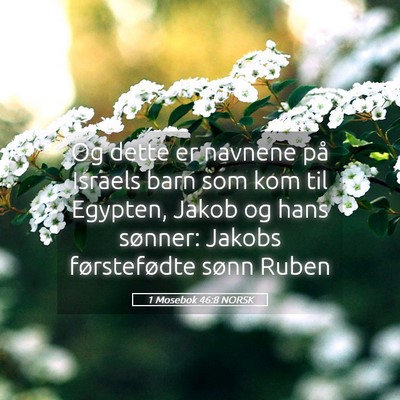 Picture 05 - 1 Mosebok 46:8 NORSK - Og dette er navnene på Israels barn som kom til - Bible Verse Picture