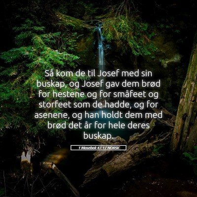 Picture 05 - 1 Mosebok 47:17 NORSK - Så kom de til Josef med sin buskap, og Josef gav - Bible Verse Picture