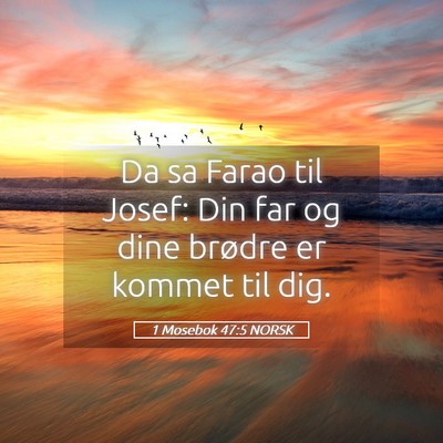 Picture 05 - 1 Mosebok 47:5 NORSK - Da sa Farao til Josef: Din far og dine brødre er - Bible Verse Picture