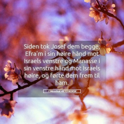 Picture 05 - 1 Mosebok 48:13 NORSK - Siden tok Josef dem begge, Efra'm i sin høire - Bible Verse Picture