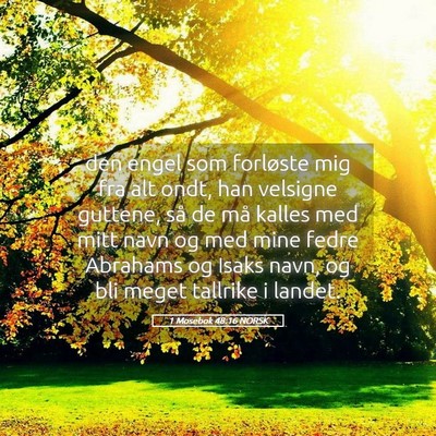 Picture 05 - 1 Mosebok 48:16 NORSK - den engel som forløste mig fra alt ondt, han - Bible Verse Picture