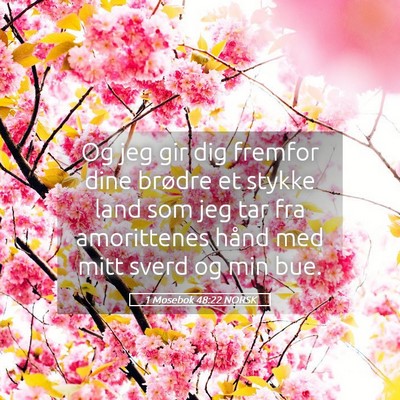 Picture 05 - 1 Mosebok 48:22 NORSK - Og jeg gir dig fremfor dine brødre et stykke - Bible Verse Picture