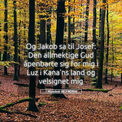 Picture 05 - 1 Mosebok 48:3 NORSK - Og Jakob sa til Josef: Den allmektige Gud - Bible Verse Picture