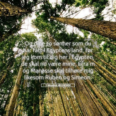 Picture 05 - 1 Mosebok 48:5 NORSK - Og dine to sønner som du har fått i Egyptens - Bible Verse Picture