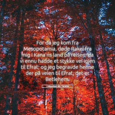 Picture 05 - 1 Mosebok 48:7 NORSK - For da jeg kom fra Mesopotamia, døde Rakel fra - Bible Verse Picture