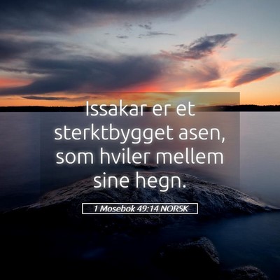 Picture 05 - 1 Mosebok 49:14 NORSK - Issakar er et sterktbygget asen, som hviler - Bible Verse Picture