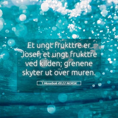 Picture 05 - 1 Mosebok 49:22 NORSK - Et ungt frukttre er Josef, et ungt frukttre ved - Bible Verse Picture