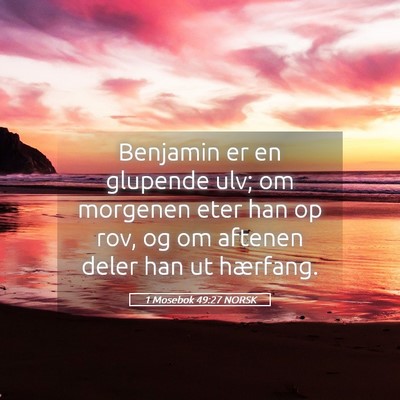 Picture 05 - 1 Mosebok 49:27 NORSK - Benjamin er en glupende ulv; om morgenen eter han - Bible Verse Picture