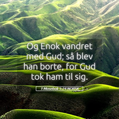 Picture 05 - 1 Mosebok 5:24 NORSK - Og Enok vandret med Gud; så blev han borte, for - Bible Verse Picture