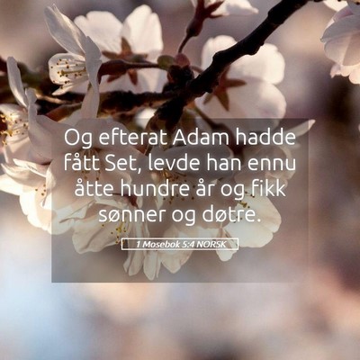 Picture 05 - 1 Mosebok 5:4 NORSK - Og efterat Adam hadde fått Set, levde han ennu - Bible Verse Picture