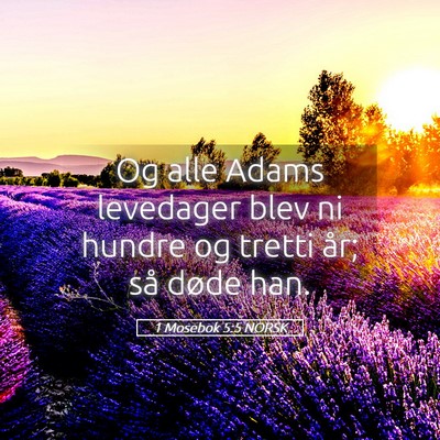 Picture 05 - 1 Mosebok 5:5 NORSK - Og alle Adams levedager blev ni hundre og tretti - Bible Verse Picture