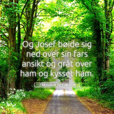 Picture 05 - 1 Mosebok 50:1 NORSK - Og Josef bøide sig ned over sin fars ansikt og - Bible Verse Picture