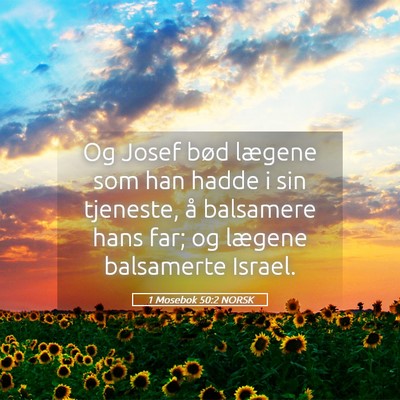 Picture 05 - 1 Mosebok 50:2 NORSK - Og Josef bød lægene som han hadde i sin - Bible Verse Picture
