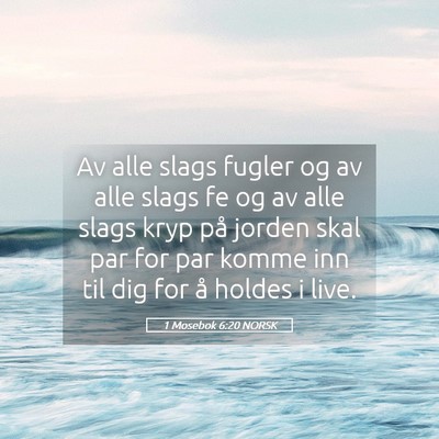 Picture 05 - 1 Mosebok 6:20 NORSK - Av alle slags fugler og av alle slags fe og av - Bible Verse Picture