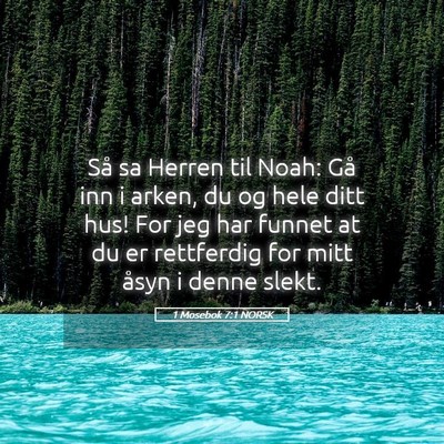 Picture 05 - 1 Mosebok 7:1 NORSK - Så sa Herren til Noah: Gå inn i arken, du og - Bible Verse Picture