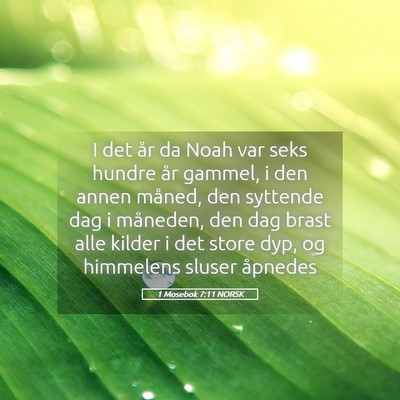Picture 05 - 1 Mosebok 7:11 NORSK - I det år da Noah var seks hundre år gammel, i - Bible Verse Picture