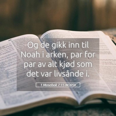 Picture 05 - 1 Mosebok 7:15 NORSK - Og de gikk inn til Noah i arken, par for par av - Bible Verse Picture