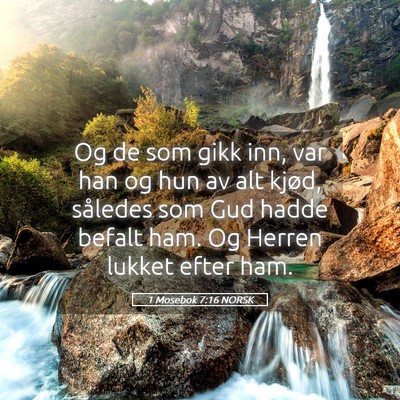 Picture 05 - 1 Mosebok 7:16 NORSK - Og de som gikk inn, var han og hun av alt kjød, - Bible Verse Picture