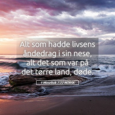 Picture 05 - 1 Mosebok 7:22 NORSK - Alt som hadde livsens åndedrag i sin nese, alt - Bible Verse Picture