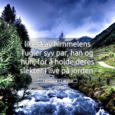 Picture 05 - 1 Mosebok 7:3 NORSK - likeså av himmelens fugler syv par, han og hun, - Bible Verse Picture
