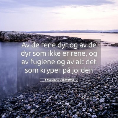 Picture 05 - 1 Mosebok 7:8 NORSK - Av de rene dyr og av de dyr som ikke er rene, og - Bible Verse Picture