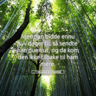 Picture 05 - 1 Mosebok 8:12 NORSK - Men han bidde ennu syv dager til; så sendte han - Bible Verse Picture
