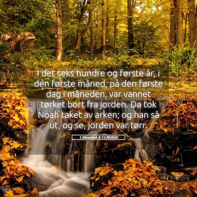 Picture 05 - 1 Mosebok 8:13 NORSK - I det seks hundre og første år, i den første - Bible Verse Picture