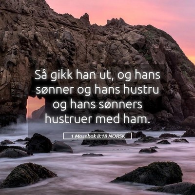 Picture 05 - 1 Mosebok 8:18 NORSK - Så gikk han ut, og hans sønner og hans hustru - Bible Verse Picture