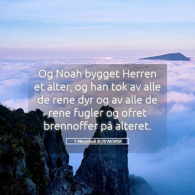 Picture 05 - 1 Mosebok 8:20 NORSK - Og Noah bygget Herren et alter, og han tok av - Bible Verse Picture