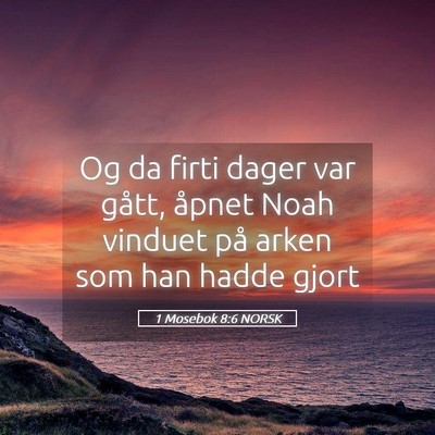 Picture 05 - 1 Mosebok 8:6 NORSK - Og da firti dager var gått, åpnet Noah vinduet - Bible Verse Picture
