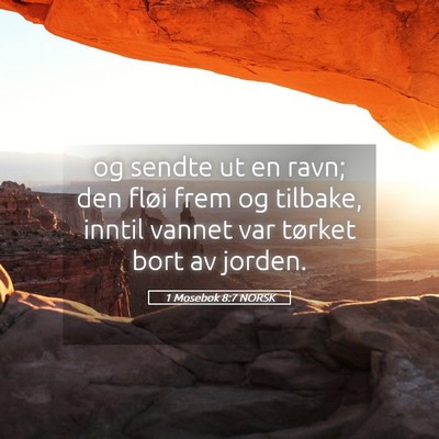 Picture 05 - 1 Mosebok 8:7 NORSK - og sendte ut en ravn; den fløi frem og tilbake, - Bible Verse Picture