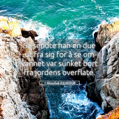 Picture 05 - 1 Mosebok 8:8 NORSK - Så sendte han en due ut fra sig for å se om - Bible Verse Picture