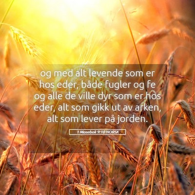 Picture 05 - 1 Mosebok 9:10 NORSK - og med alt levende som er hos eder, både fugler - Bible Verse Picture