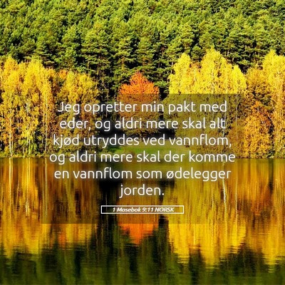 Picture 05 - 1 Mosebok 9:11 NORSK - Jeg opretter min pakt med eder, og aldri mere - Bible Verse Picture