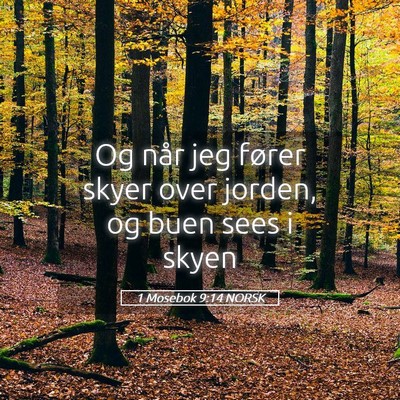 Picture 05 - 1 Mosebok 9:14 NORSK - Og når jeg fører skyer over jorden, og buen - Bible Verse Picture