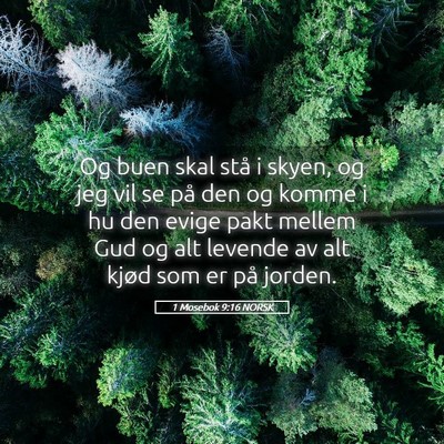 Picture 05 - 1 Mosebok 9:16 NORSK - Og buen skal stå i skyen, og jeg vil se på den - Bible Verse Picture