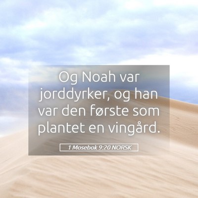 Picture 05 - 1 Mosebok 9:20 NORSK - Og Noah var jorddyrker, og han var den første - Bible Verse Picture