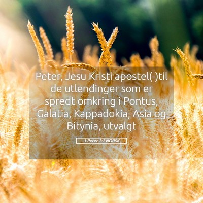 Picture 05 - 1 Peter 1:1 NORSK - Peter, Jesu Kristi apostel(-)til de utlendinger - Bible Verse Picture