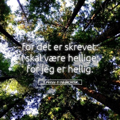 Picture 05 - 1 Peter 1:16 NORSK - for det er skrevet: I skal være hellige; for jeg - Bible Verse Picture