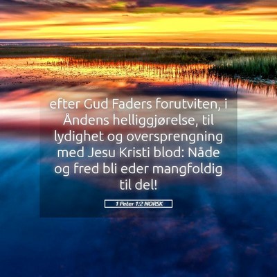 Picture 05 - 1 Peter 1:2 NORSK - efter Gud Faders forutviten, i Åndens - Bible Verse Picture
