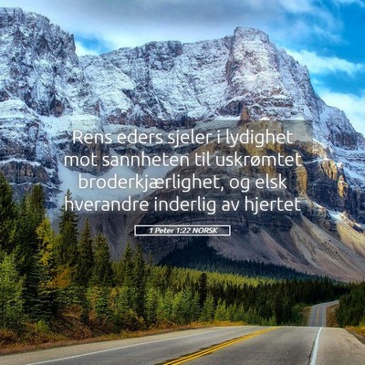 Picture 05 - 1 Peter 1:22 NORSK - Rens eders sjeler i lydighet mot sannheten til - Bible Verse Picture