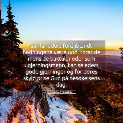 Picture 05 - 1 Peter 2:12 NORSK - så I lar eders ferd iblandt hedningene være - Bible Verse Picture