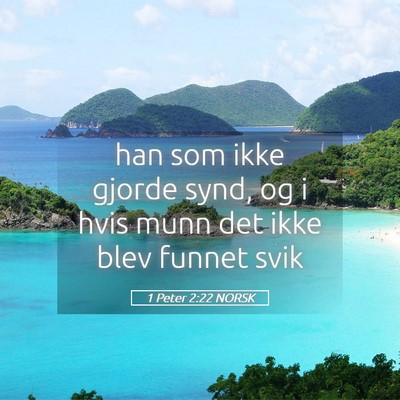 Picture 05 - 1 Peter 2:22 NORSK - han som ikke gjorde synd, og i hvis munn det ikke - Bible Verse Picture
